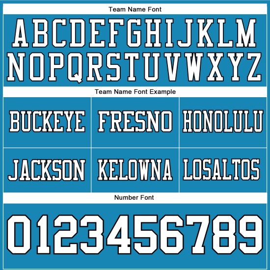 Custom Panther Blue White-Black Mesh Authentic Football Jersey Custom Panther Blue White-Black Mesh Authentic Football Jersey